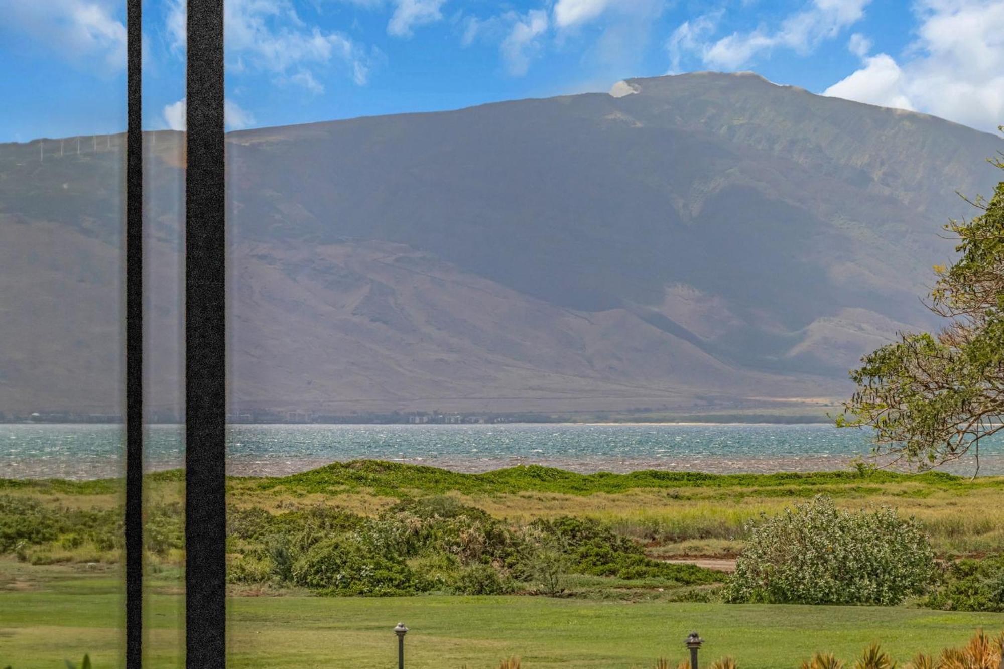 Kauhale Makai 230 Lägenhet Kihei Exteriör bild